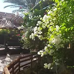 Lotus Turtle Garden Eilat