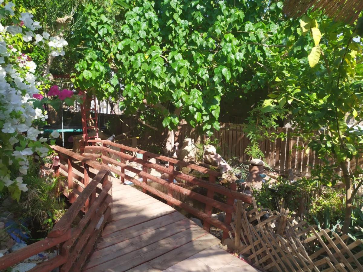 Lotus Turtle Garden Apartment Eilat
