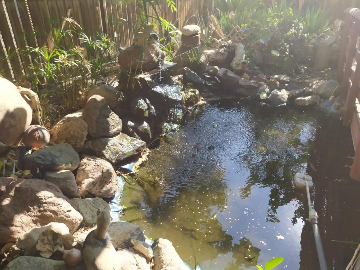 Apartment Lotus Turtle Garden *