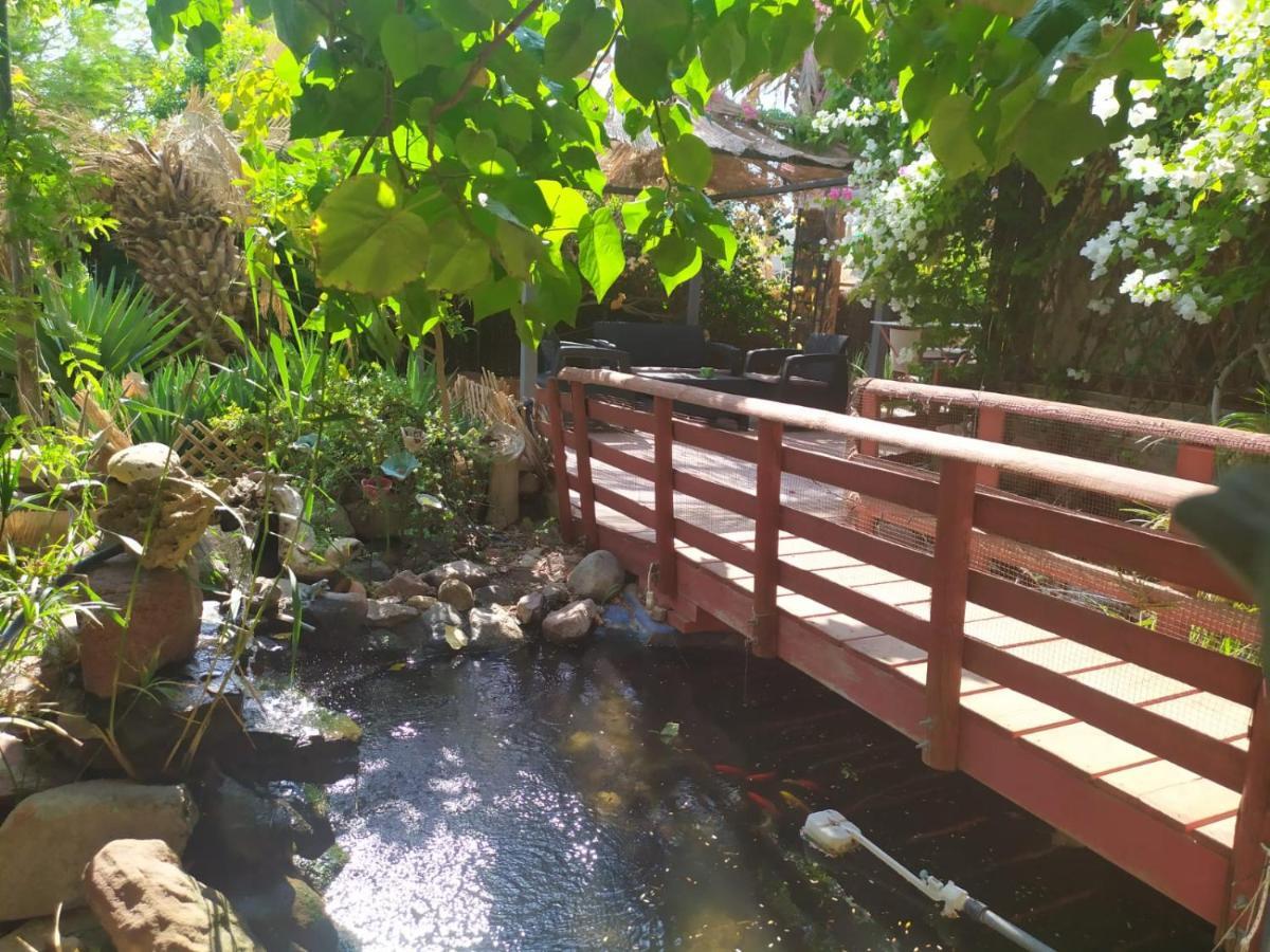 Lotus Turtle Garden * Eilat
